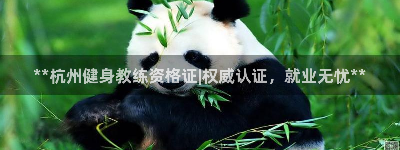 龙8国际怎么进不去了