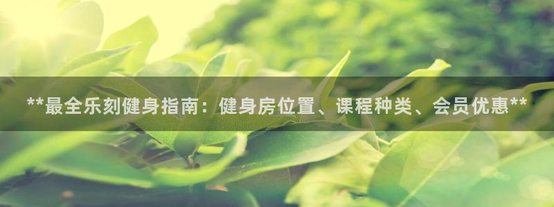 龙8国际官网版玩法