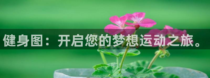 龙8国际网页登陆