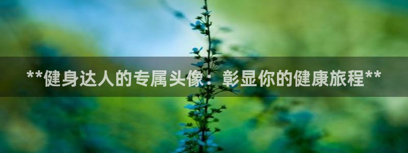 龙8国际long8