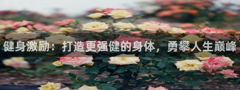 龙8国际网址