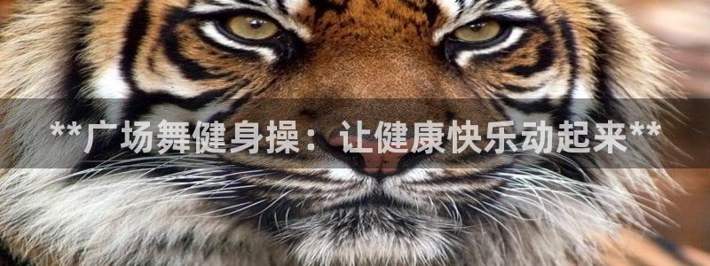 龙8app 国际
