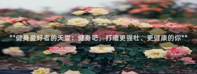 龙八国际娱