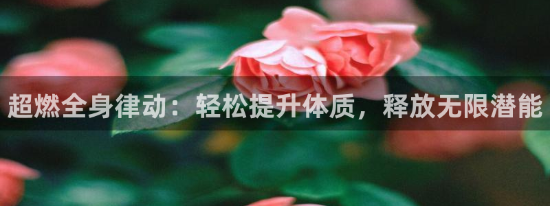 龙8国际pt网址