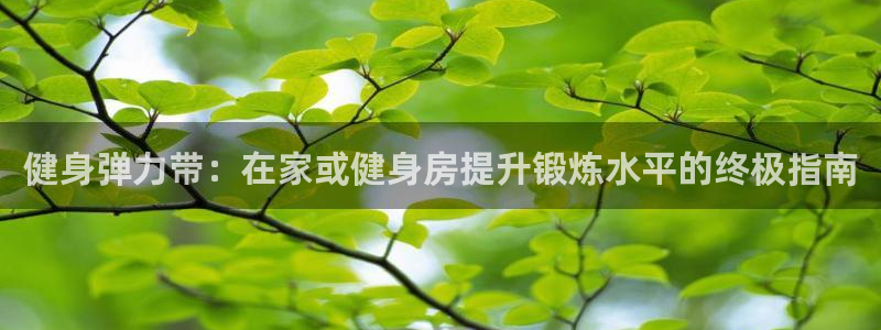 龙8国际平台官网