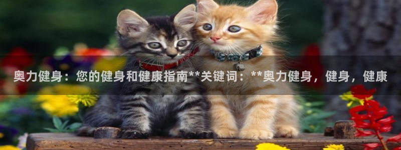 龙8游戏网站