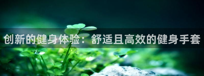 龙8游戏平台老虎机