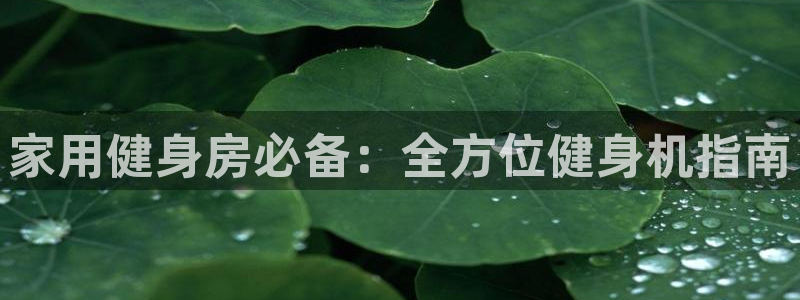 龙八国际官网下载