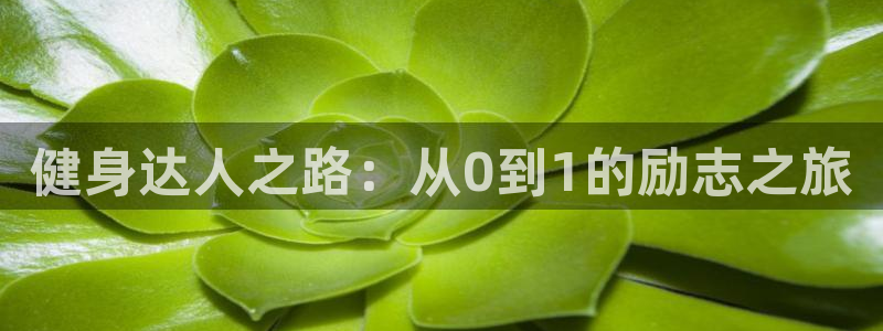 龙8国际龙8客户端
