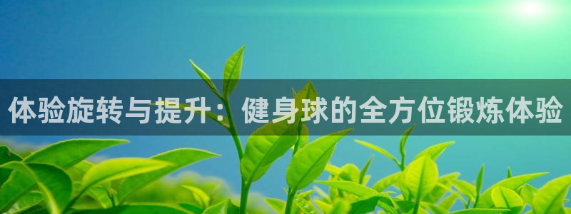 龙8国际电子游戏