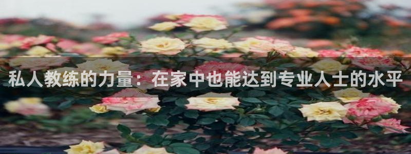 龙8国际官网 点此进入游戏