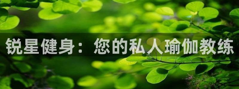 龙8国际版