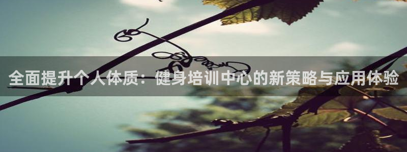 龙8国际手机版官网