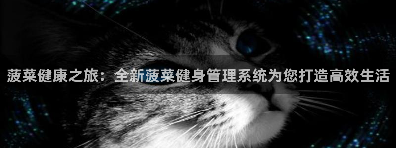 龙八国际官网下载