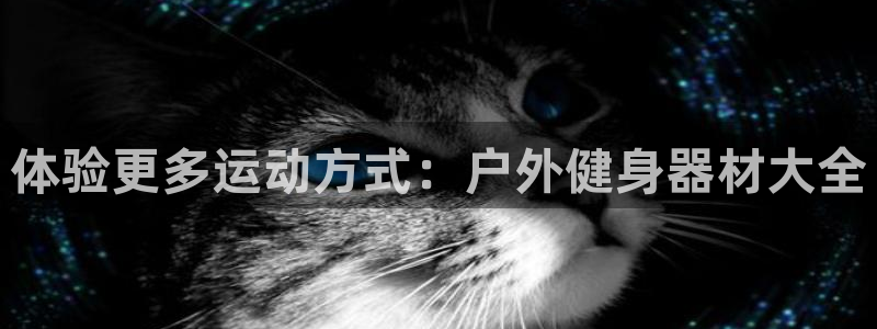 龙8国际app官网下载