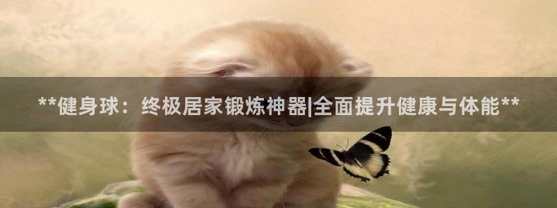 龙八国际下载链接