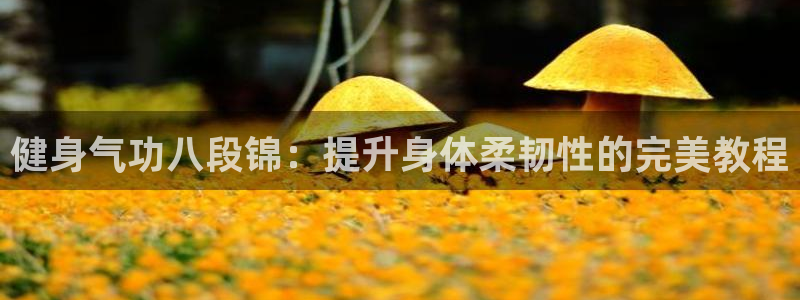 龙八国际娱乐网页多少