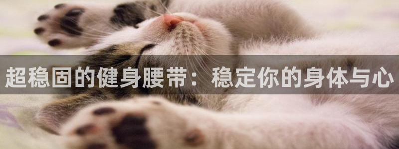 龙8国际官网
