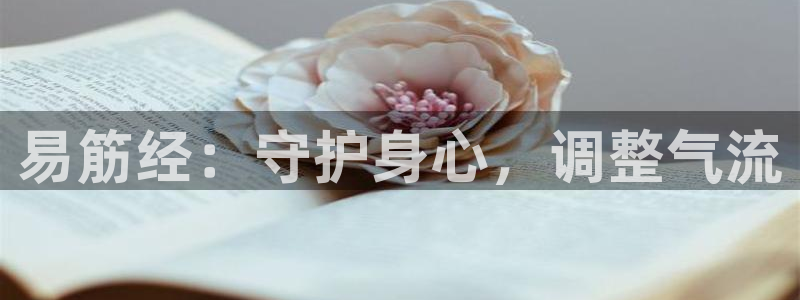 龙8国际官网版