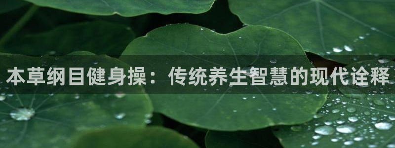 龙8国际网站