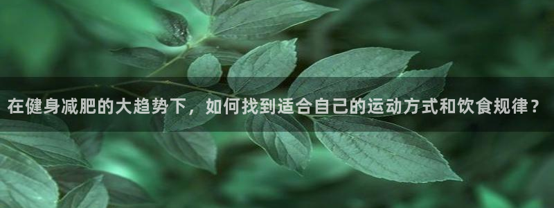龙8游戏官方进入