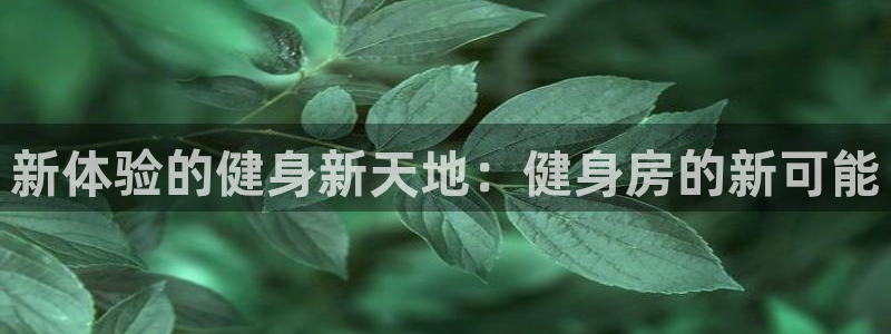 龙8唯一官网