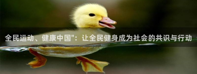 龙8国际正规吗