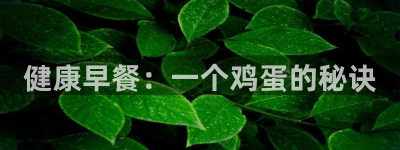 龙8游戏官方网站q