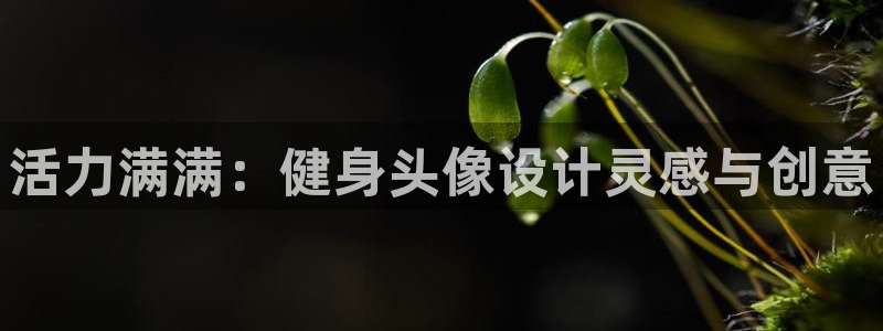 龙8棋牌官网