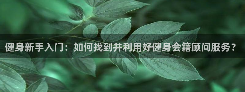 龙8国际pt官网