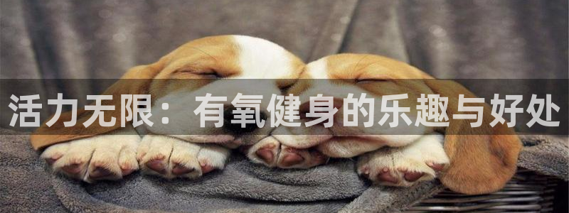 龙8国际平台输了多少
