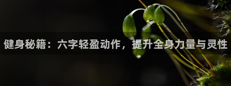 龙8国际2020官方网站