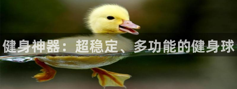 龙8老虎机手机版