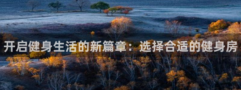 龙8官网手机登入口