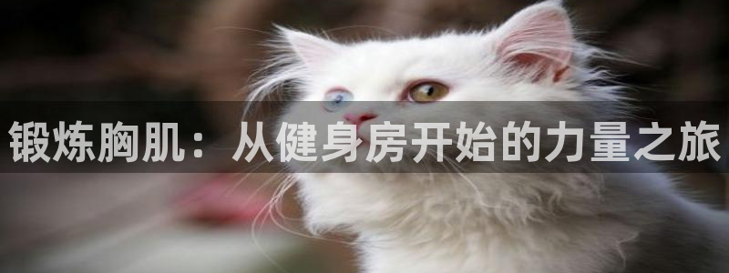 龙8游戏官方网站q