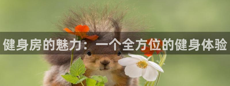 龙8国际官方网页