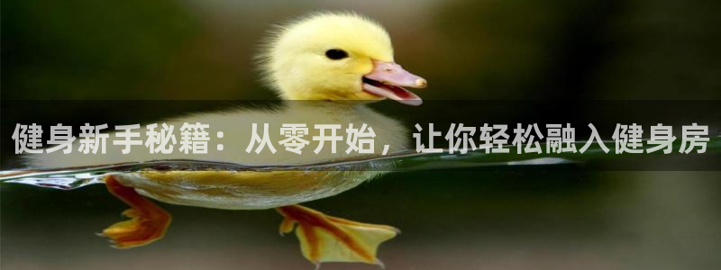 龙八国际娱乐网页多少