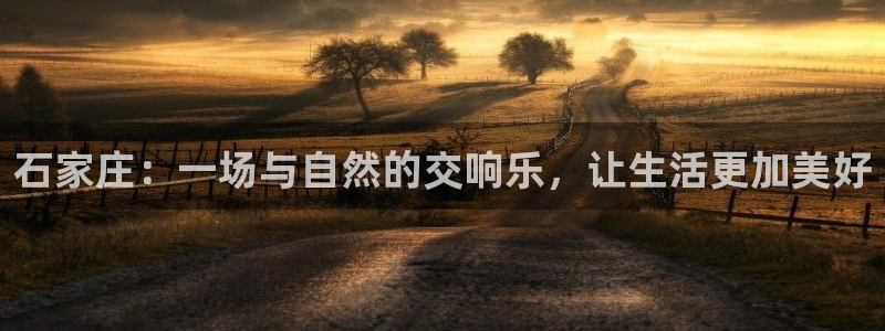 龙8国际是不是黑网