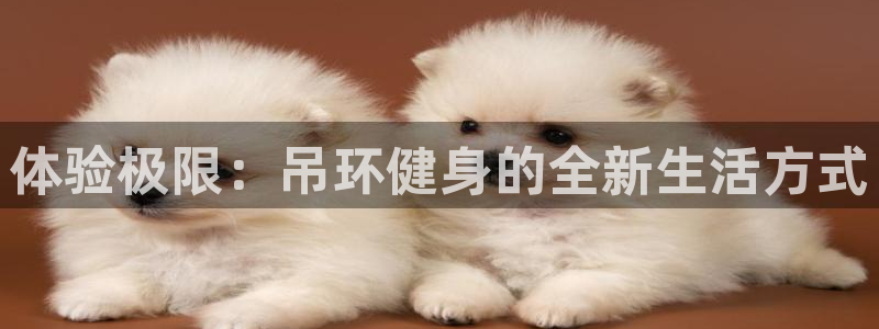 龙8手机游戏官网