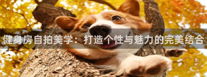 龙8国际手机登录官网